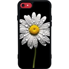 iPhone Se Uyumlu Papatya Tasarımlı Glossy Premium Kılıf