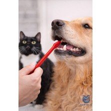 Ventoze 4'lü Kedi-Köpek Diş Fırçası Seti | Plak ve Tartar Önleyici Çift Başlıklı Ağız Bakım Seti
