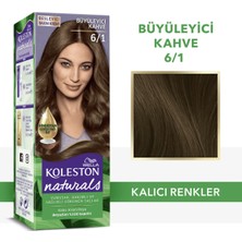Wella Koleston Koleston Naturals 6/1 Büyüleyici Kahve Saç Boyası
