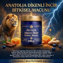 Doğal Anatolia Dikenli Incir Ballı Karışık Bitkisel Macun Güç ve Ginsengli 240 gr
