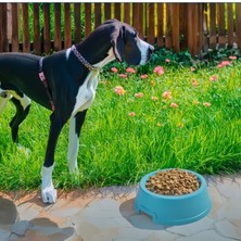 Marsilyan Mikopet Büyük Irklar Için Dayanıklı 2.5 Litre Mama Kabı