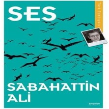 Belirtilmemiş Ses