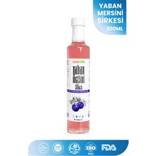 Zadelife C Vitamini Kaynağı Yaban Mersini Sirkesi 500 ml