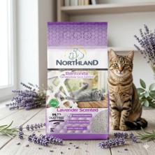 Northland 5 Lt Lavanta Kokulu Doğal Bentonit Kedi Kumu