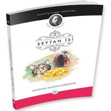 Şeytan Işi