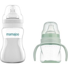 Mamajoo Antikolik Biberon 250 ml & Antikolik Akıtmaz Alıştırma Bardağı 160 ml – Powder Green