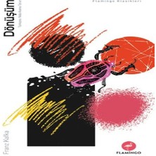 Elma Shop Dönüşüm