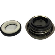 Palmera Taş Keçe 1'' Iki Zamanlı Su Motoru Salmastra QGZ25A