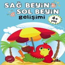 Belirtilmemiş Sağ Beyin-Sol Beyin Gelişimi 4+ Yaş