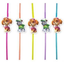 Parti Show Paw Patrol Skye &amp; Rocky Artistik Pipet 10 Adet