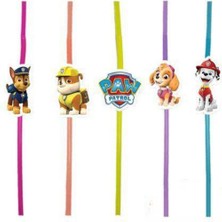 Parti Show Paw Patrol Artistik Pipet (10 Adet)