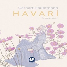 Belirtilmemiş Havari