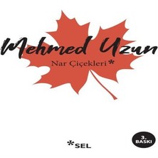 Indispensablely Nar Çiçekleri: Çokkültürlülük Üstüne Denemeler