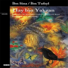 Indispensablely Hay Bin Yakzan