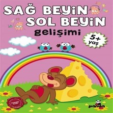 Indispensablely 5 Yaş Sağ Beyin-Sol Beyin Gelişimi