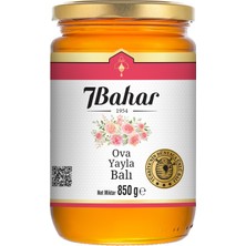 7bahar Ova Yayla Balı 850G