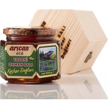 Arıcan Ala Kaçkar Dağları Yabani Orman Balı 500 gr