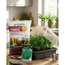 Genta Evde Bitki Yetiştirme –  Dereotu Hobi Seti (Tohum + Torf + Fanus)