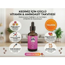 Vitmin Kedi Multivitamin