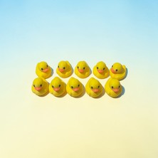 3D Tasarım Teraryum Malz. Dekoratif Ördek  (15ADET)