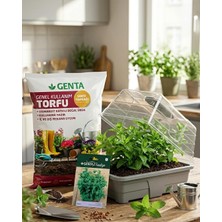 Genta Evde Bitki Yetiştirme –  Nane Hobi Seti (Tohum + Torf + Fanus)