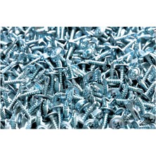 Netzerkoz 100 Adet 3.9X19 Rysbpulbaşmatkap Uçlu Akıllı Vida -Metal Yüzeyleriçin