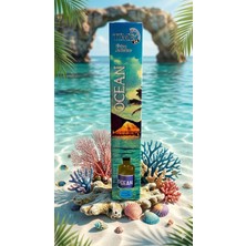 Can TIME24 Ocean Oda Kokusu 50 ml – Çubuklu Ortam Kokusu | Ferah Deniz Esintisi Ev & Ofis Reed Diffuser