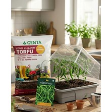 Genta Evde Bitki Yetiştirme –  Acı Kıl Biber Hobi Seti (Tohum + Torf + Fanus)