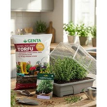 Genta Evde Bitki Yetiştirme –  Kekik Hobi Seti (Tohum + Torf + Fanus)