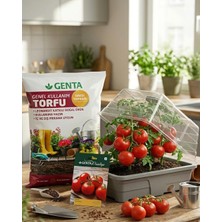 Genta Evde Bitki Yetiştirme –  Kokteyl Domates Hobi Seti (Tohum + Torf + Fanus)
