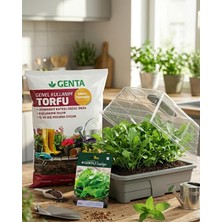 Genta Evde Bitki Yetiştirme –  Roka Hobi Seti (Tohum + Torf + Fanus)