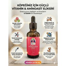 Vit&min Köpek Multivitamini