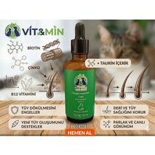 Vitmin Kedi Tüy ve Deri Sağlığı