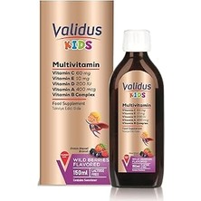 Indispensablely Validus Multivitamin B12 + B3+ Folic Acid 150 ml Şurup