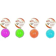 Indispensablely Pawise Dikenli Oyun Topu 12,5 cm