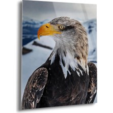 Shiny Art Kış ve Şahin Cam Tablo - MOD110