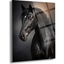 Shiny Art Siyah Asil At Cam Tablo - MOD114