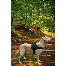 Indispensablely Bypet Göğüs Tasması Büyük Irk Tasması Dog K9 Tasma