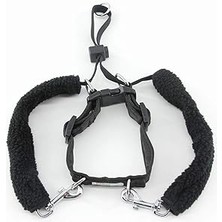 Indispensablely Pawise Dog L (1&QUOT;X23-33&QUOT;) Eğitim Tasması