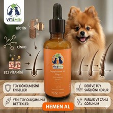VİT&MİN Köpek Tüy ve Deri Sağlığı