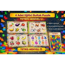 W-Design 4 Adet Eva Eğitici Bul Tak Puzzle Montessori Zeka ve Motor Beceri Geliştirici Oyuncak
