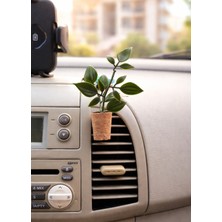 Alyora Dekoratif Mini Araç Oto Kokusu- El Yapımı Mantar Saksı Çiçek Klima Süsü-Klima Klipsli