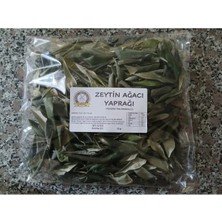 Burdur Hasat 50 gr Kurutulmuş Doğal Zeytin Ağacı Yaprağı