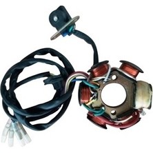 Tuğra GT Honda ACTİVA110 Eski Kasa Statör 5+1