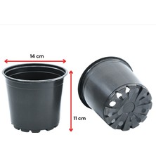 Polatoğlu Tarım 200 Adet 14 Lük Vakum Saksı, Üretim Saksısı, Siyah Saksı