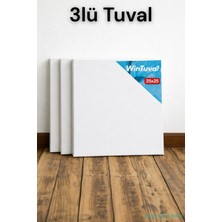 Yapay Çiçek Sitesi Standart Tuval 25X25 3lü