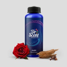 Dr.scent Koku Makinası Oudy Kokusu 170 ml