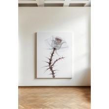 Kanvaspera Çiçek X-Ray - Kanvas Tablo - Çağdaş, Bilimsel ve Ince Işçilikli Duvar Dekorasyonu