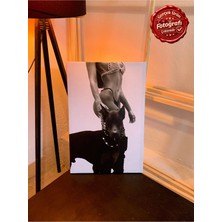 Kanvaspera Doberman - Kanvas Tablo - Siyah Beyaz, Güçlü ve Zarif Konseptli Çağdaş Duvar Dekorasyonu