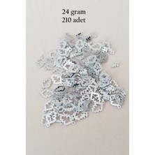 MidasTech Oya Abiye Bileklik Kolye Pleksi Metalik Plastik Pul Gümüş Renk 24 Gram 210 Adet - BNC573 Nemere